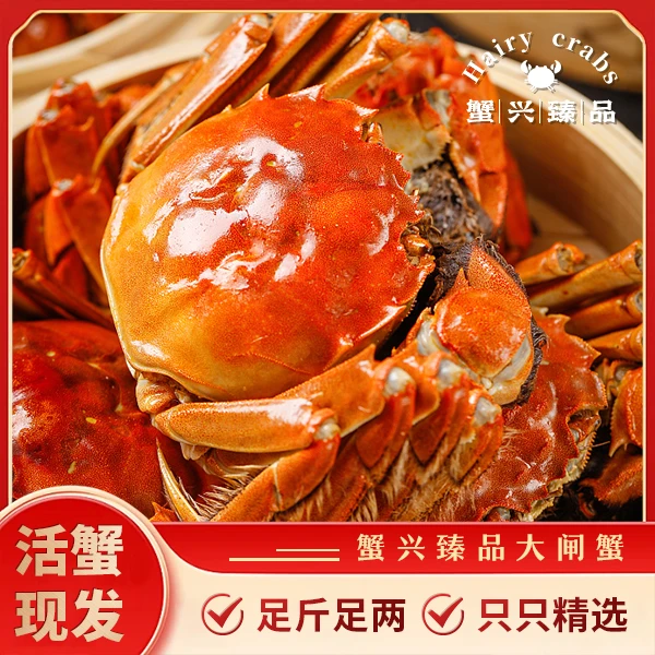【公蟹3.5两+母蟹2.5两】活蟹 蟹兴臻品苏州大闸蟹8只 现货鲜活礼盒