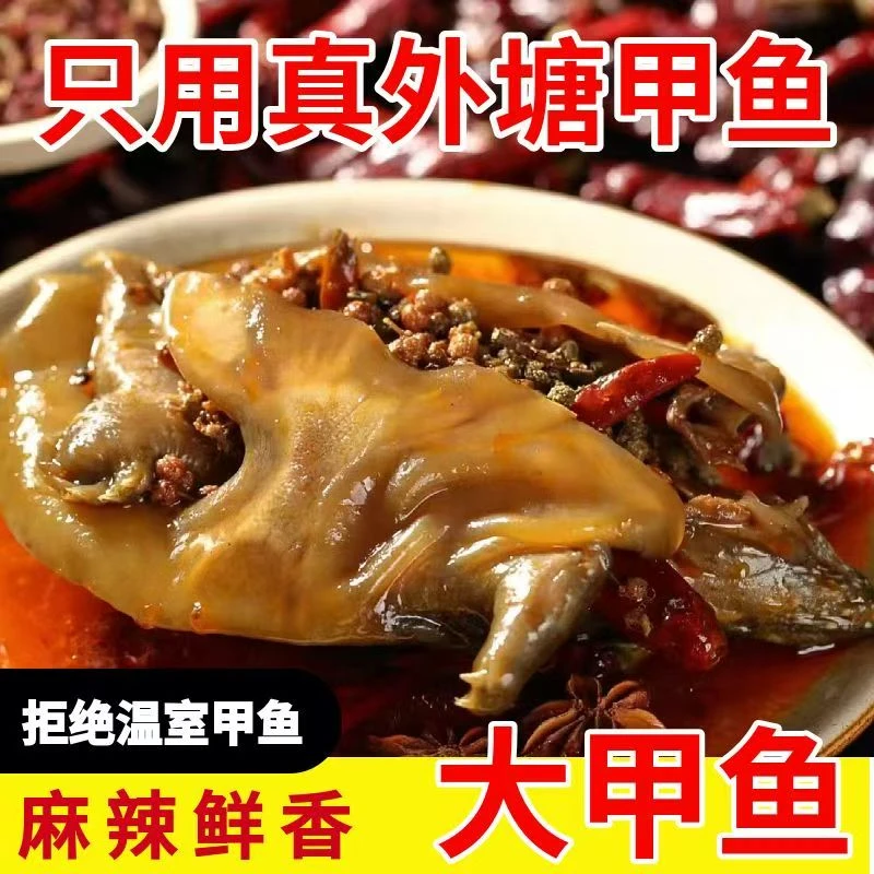 【新人专享】拍三送三 卤甲鱼单只半斤左右 现卤现发 破损包赔