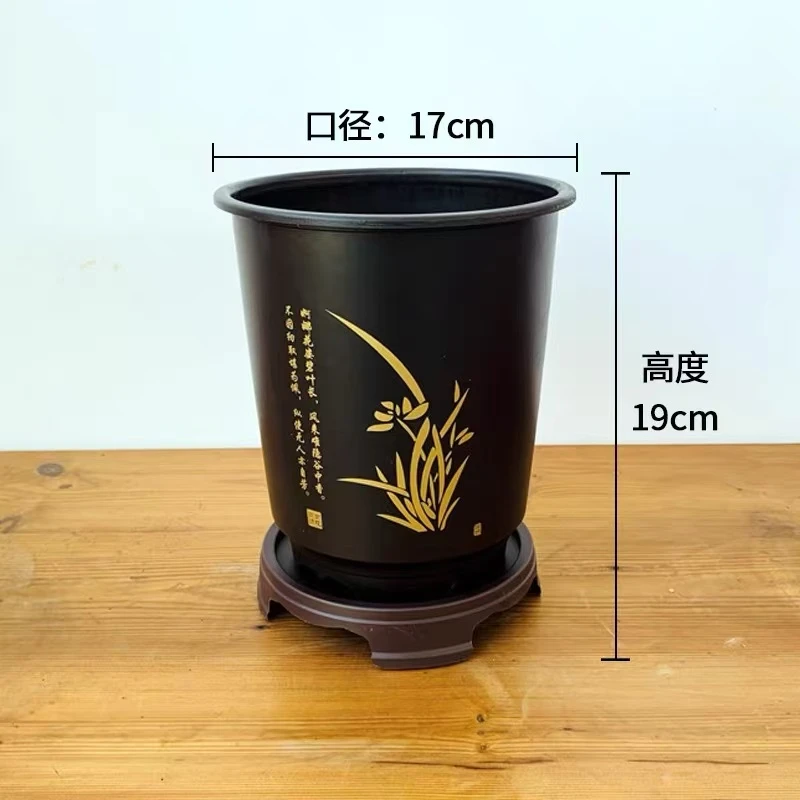 兰花专用树脂盆 通风透气