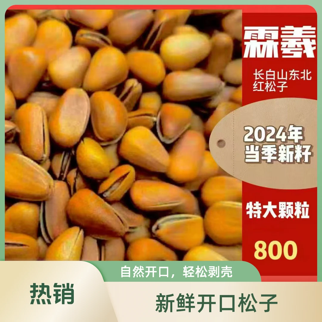 东北开口松子大颗粒坚果800颗新货松籽孕妇零食特产原味手剥