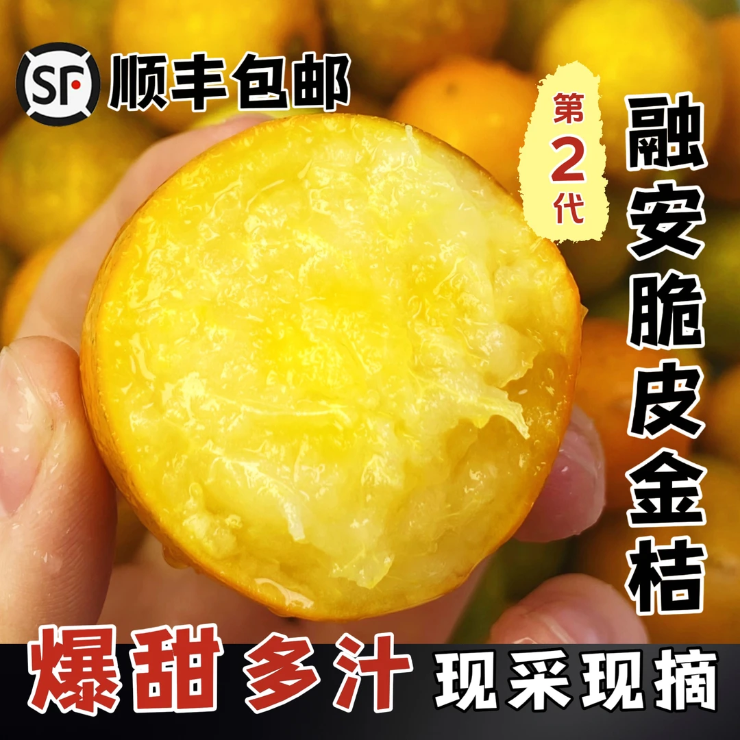 【顺丰包邮】正宗广西融安脆皮金桔新鲜滑皮金桔纯甜少核产地现摘