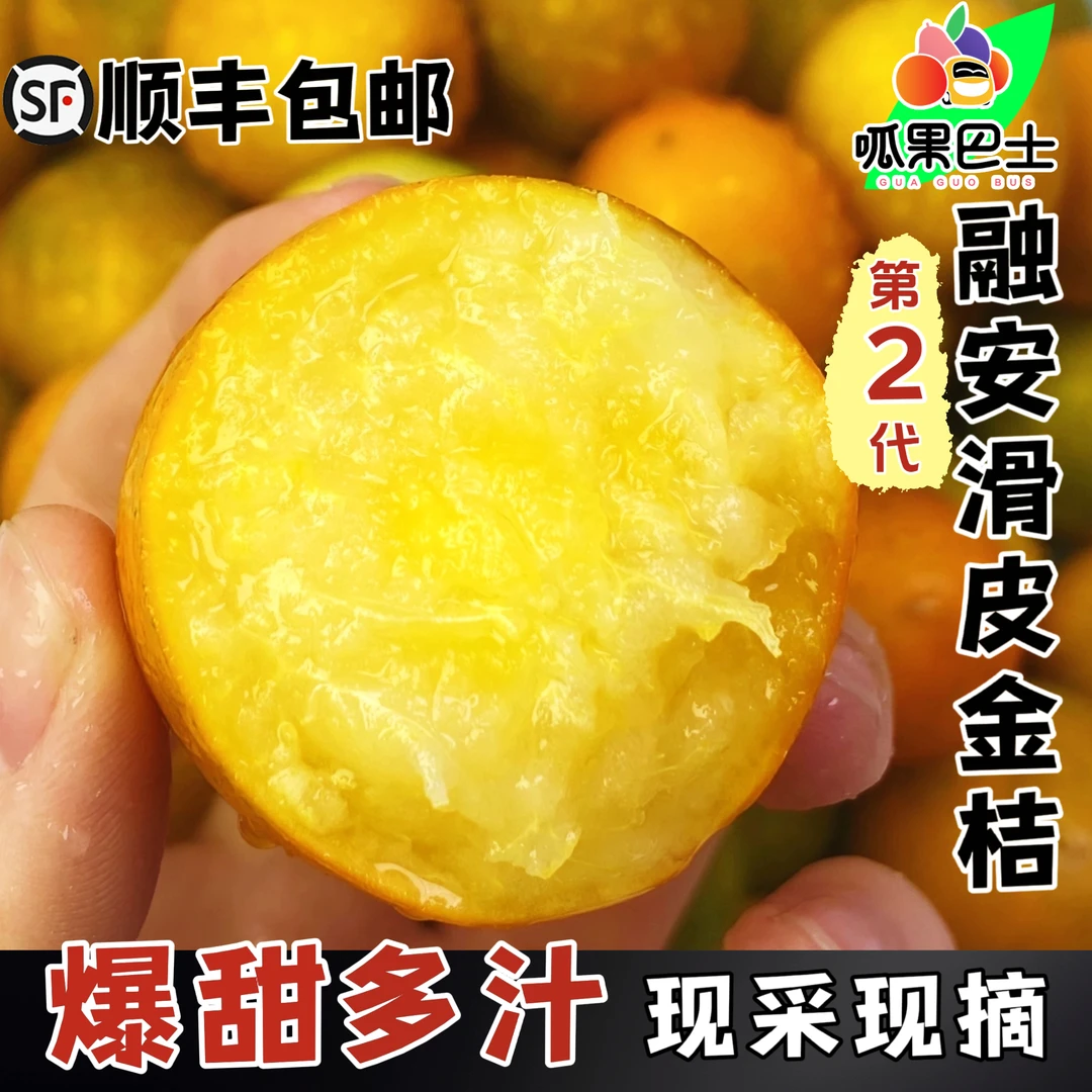 一斤装正宗广西融安滑皮金桔纯甜新鲜脆皮金桔少核产地现摘