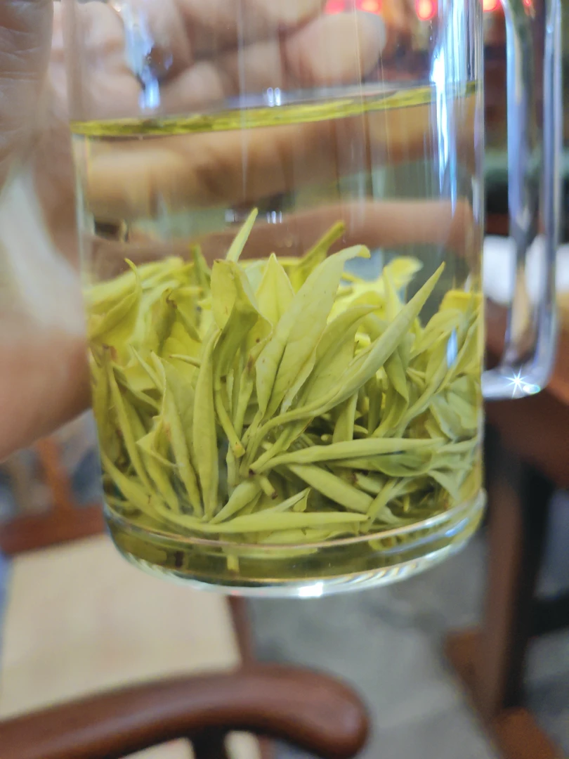 2025核心产区安吉白茶兰花型