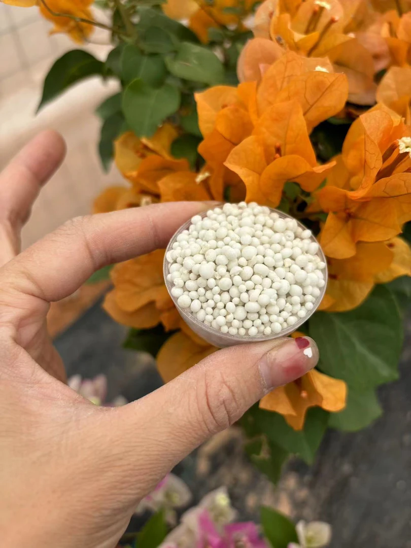 三角梅 盆栽绿植专用复合肥