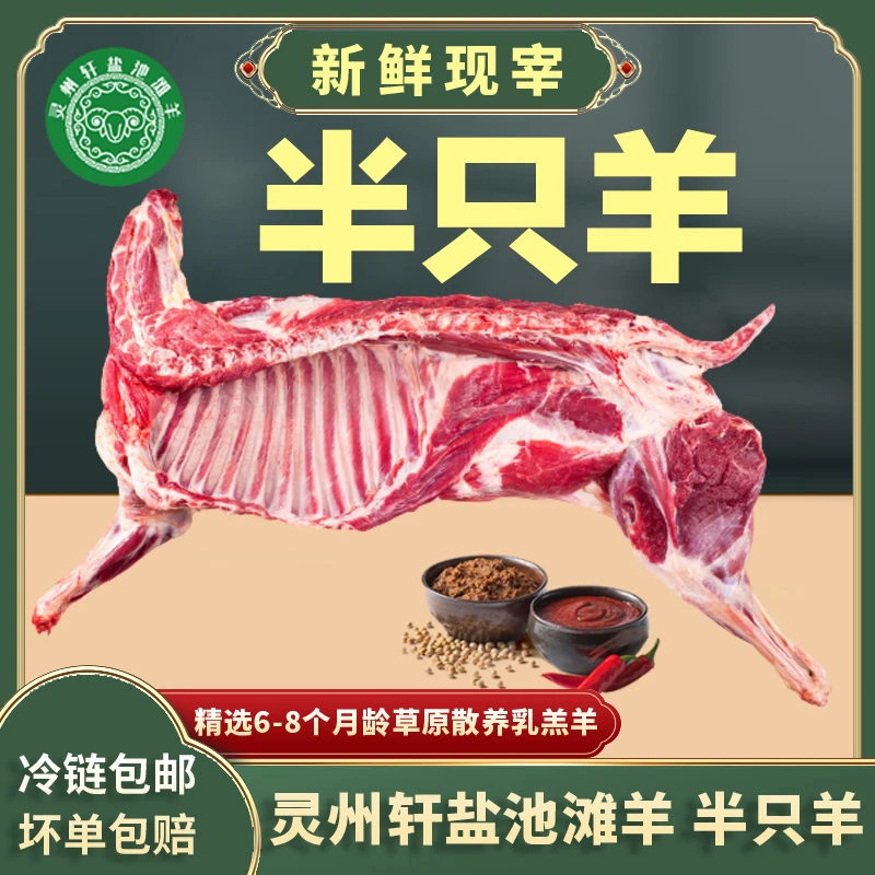 盐池滩羊 半只羊 草饲180天乳羔羊 北纬37度草滩散养羊