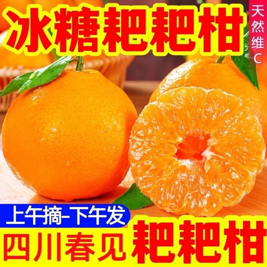 【现摘现发】正宗四川春见耙耙柑应季新鲜水果耙耙柑丑橘5/10斤包邮