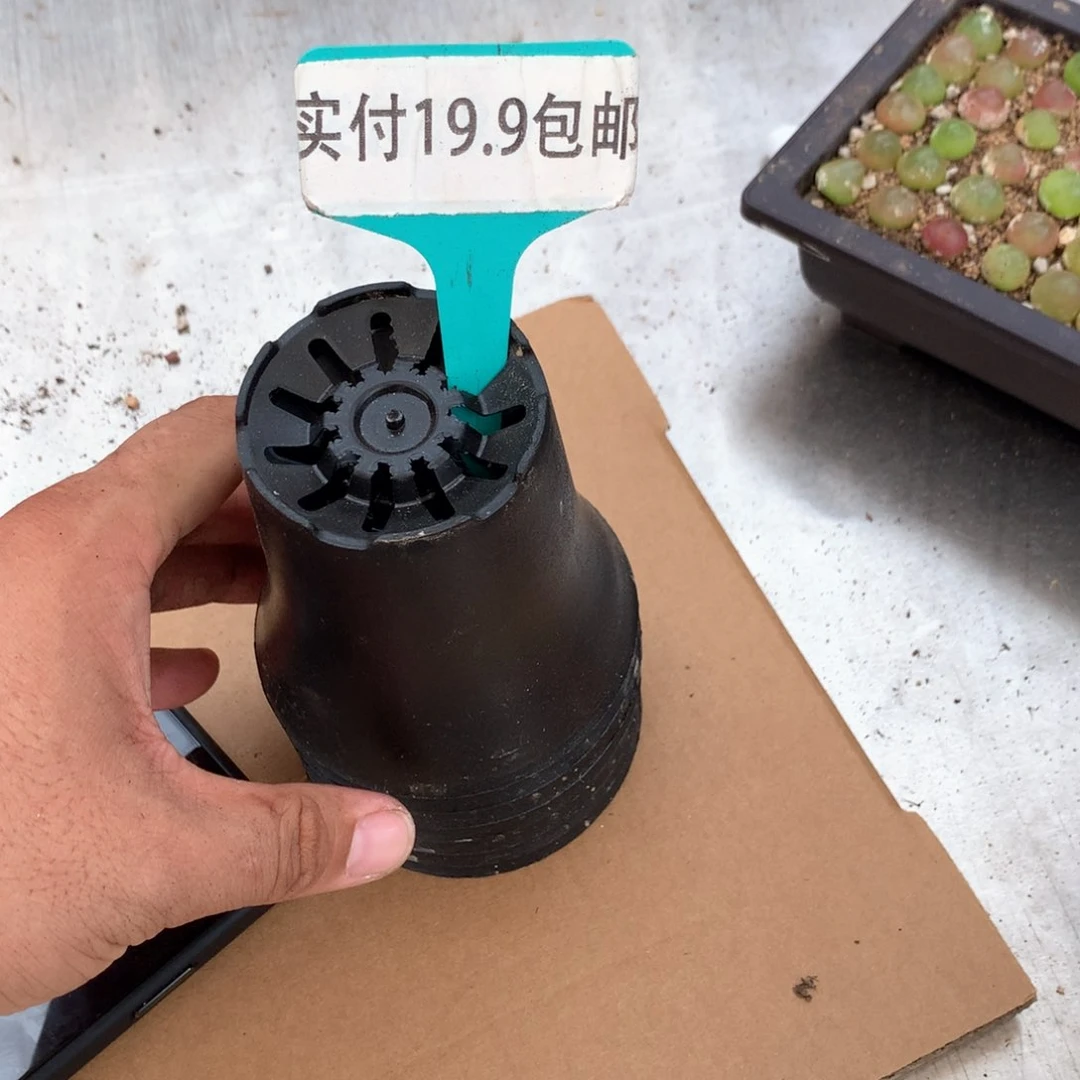 万象杯 满19.9包邮 脱土