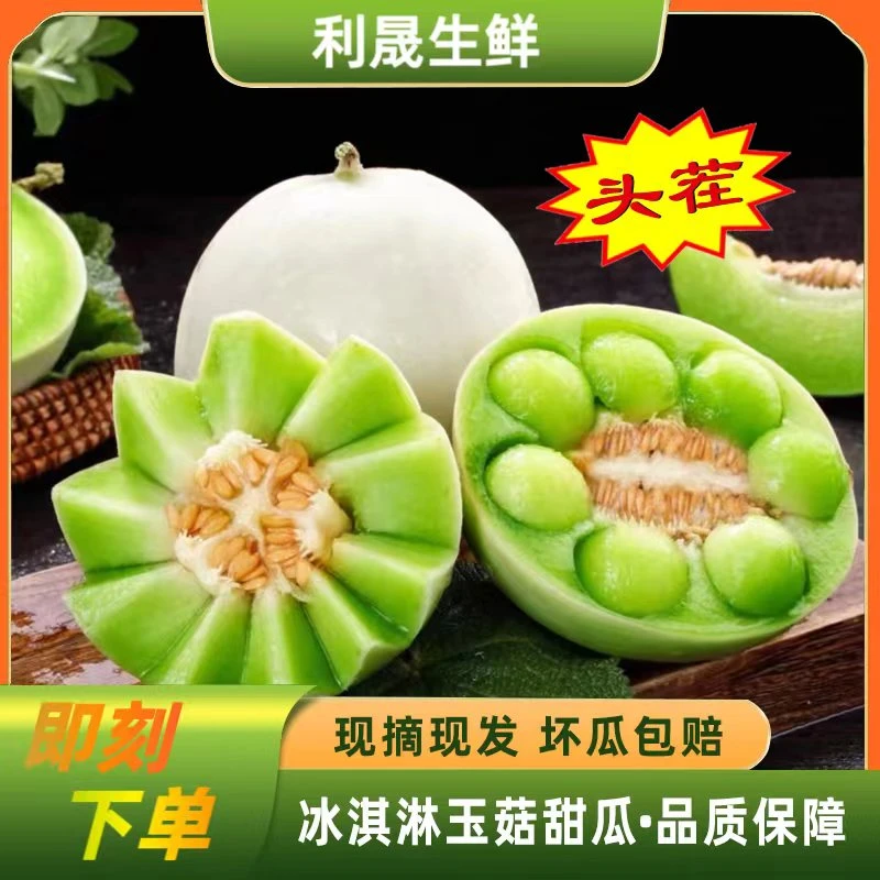 山东头茬冰淇淋玉菇甜瓜新鲜水果香甜软糯4.5斤-5斤