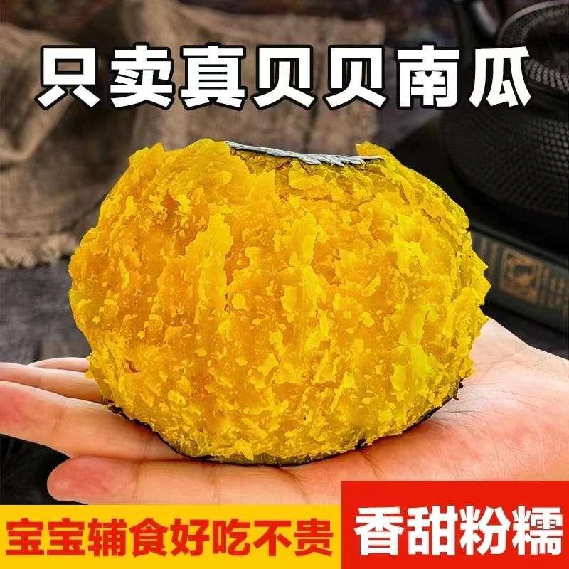 【不粉包赔】贝贝南瓜产地现摘现发4.5-5斤板栗南瓜宝宝辅食饱腹-