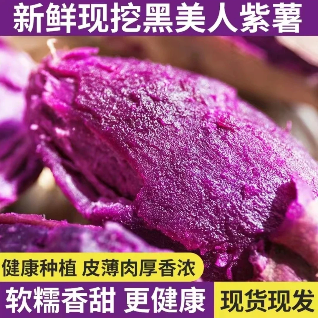 新鲜紫薯黑美人优质沙地粉糯香甜皮薄肉质饱满尝鲜现挖