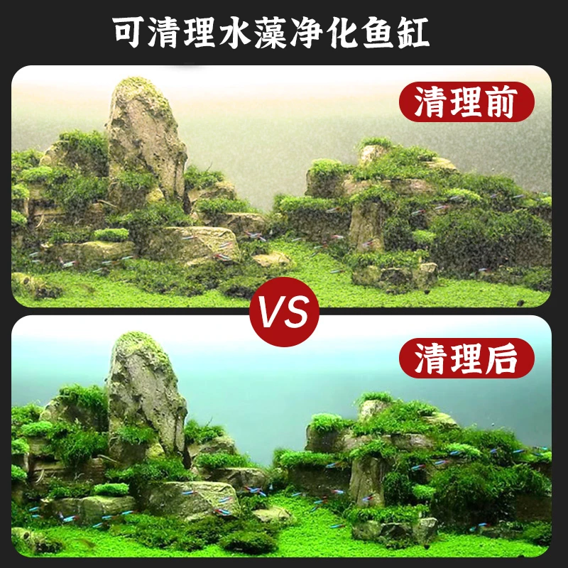 黑壳虾清洁鲜活套餐活体包邮除藻草缸工具虾宠物观赏虾【超萌好物】