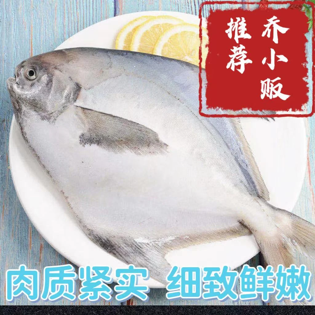 黄海海域银鲳鱼一斤7-8条装