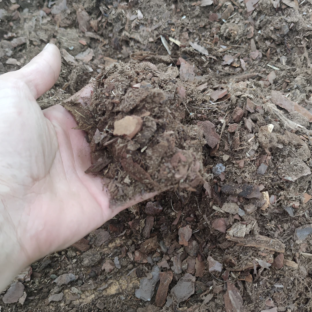 芊芊花园 蓝莓配好专用土 通用型家庭盆栽果树通用土 到家直接用