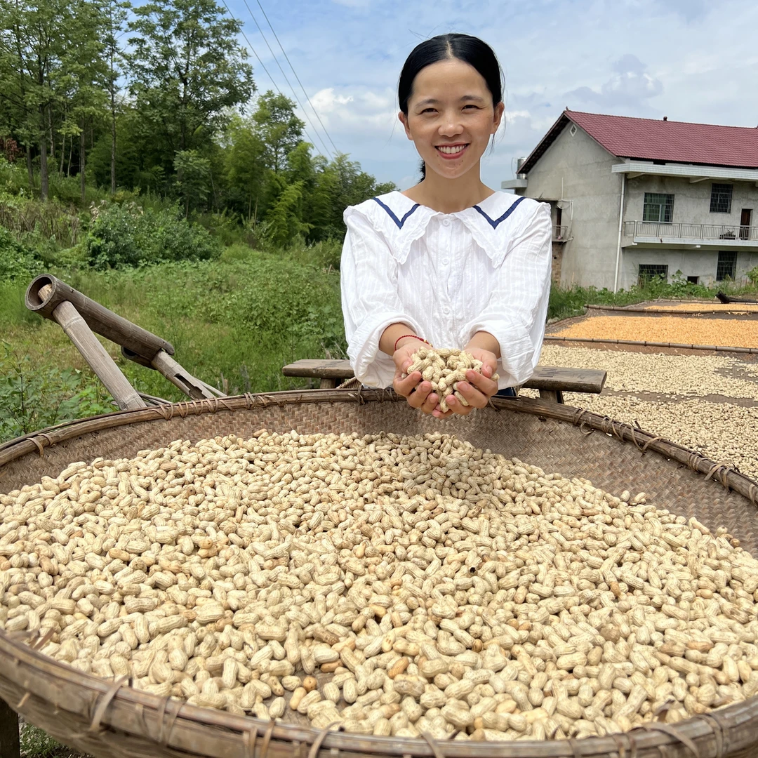 湖南新化红皮花生小籽老品种