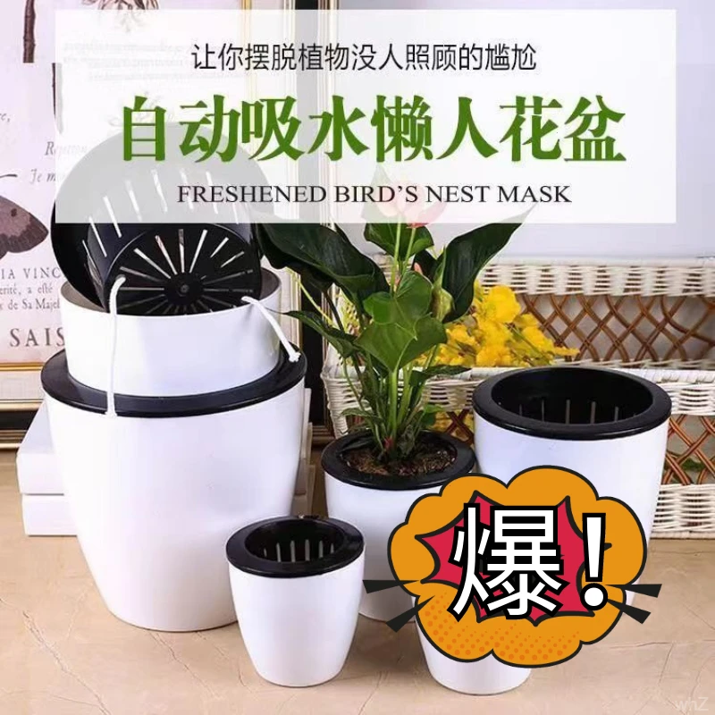 懒人花盆自动吸水绿萝用懒人盆绿植特价吊兰水培自吸盆塑料吸水盆