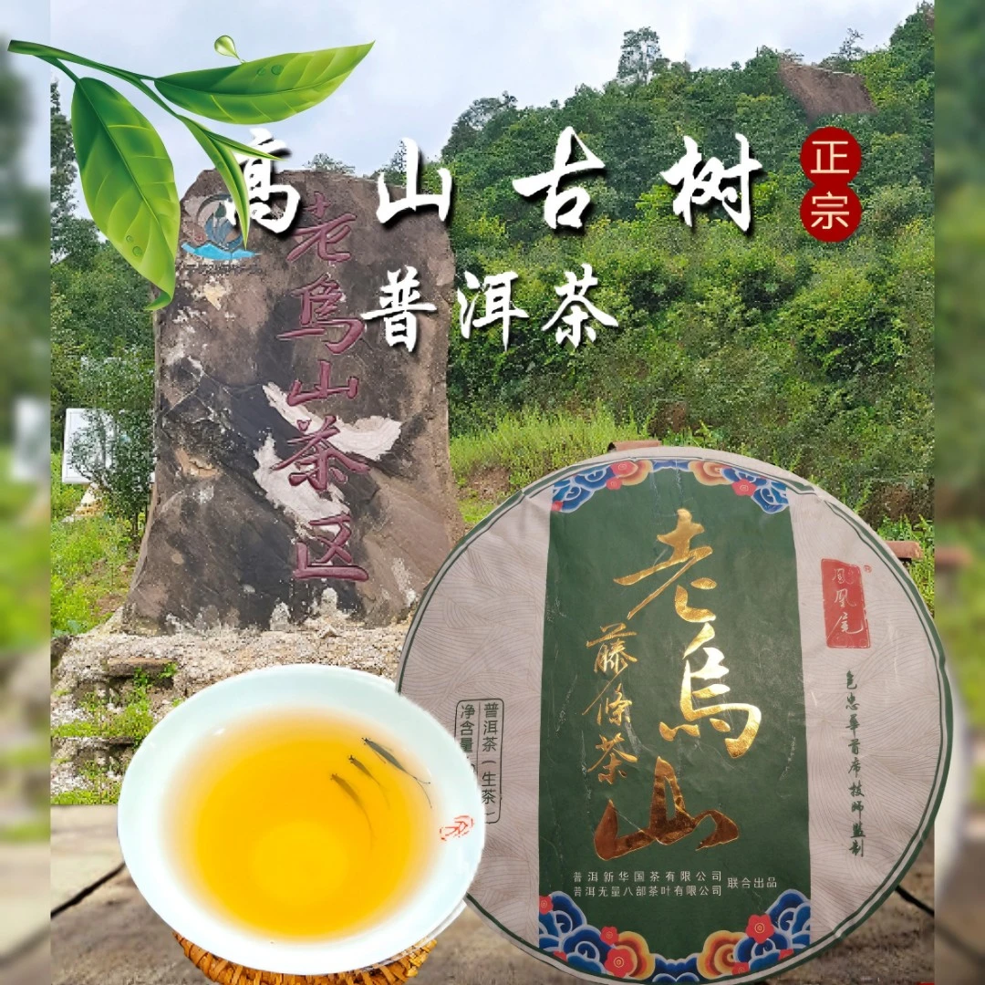 357克老乌山藤条古树茶（秋茶）普洱生茶饼（样品免费试喝）