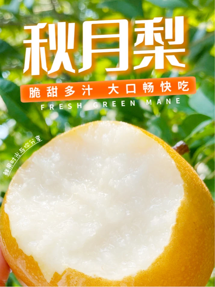 【大鹅推荐】大沙河新鲜秋月梨精选水果绿色爆甜酥脆多汁