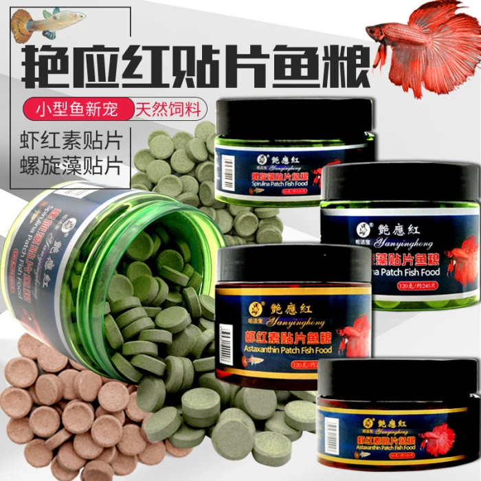 虾红素贴片鱼料 螺旋藻贴片鱼粮 小型鱼灯科鱼饲料  增艳 不浑水