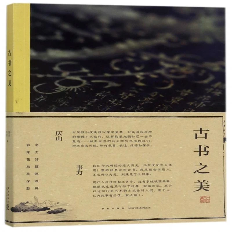古书之美 庆山//韦力