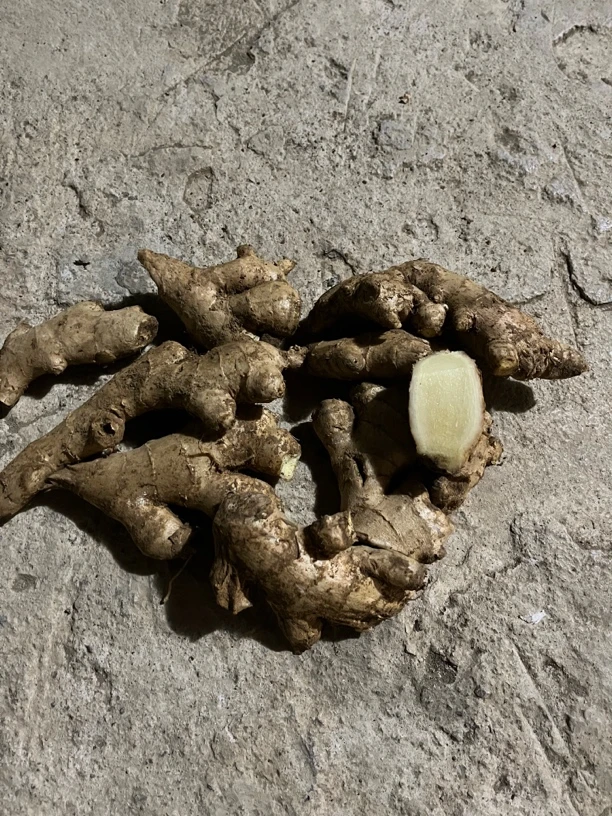 贵州高山农家生姜老姜（去年的姜种子）