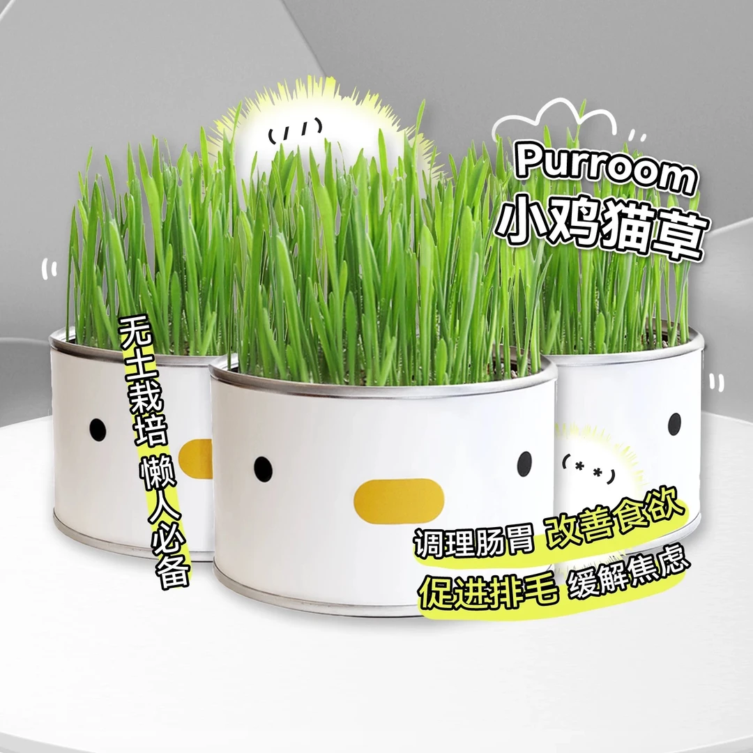 【优加优选】小叽猫草罐头PURROOM无土水培猫草