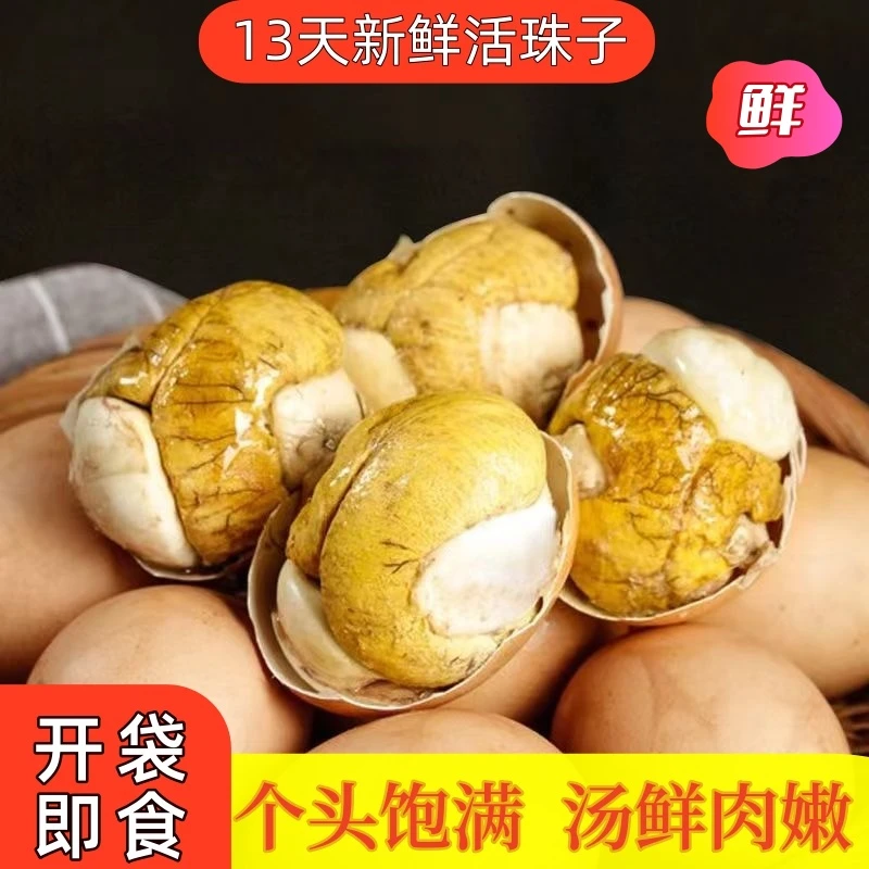正宗五香13天活珠子鸡胚蛋批发半喜蛋钢化非毛鸡蛋香辣熟即食新鲜
