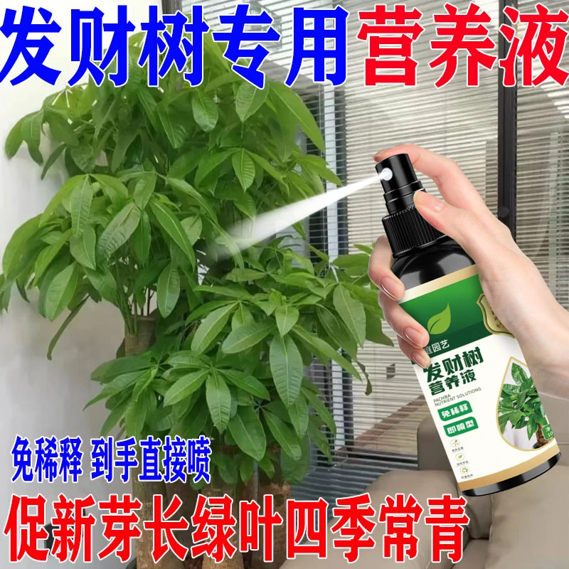 发财树专用营养液绿植料催芽防黄叶烂根一喷绿绿植通用专用营养液