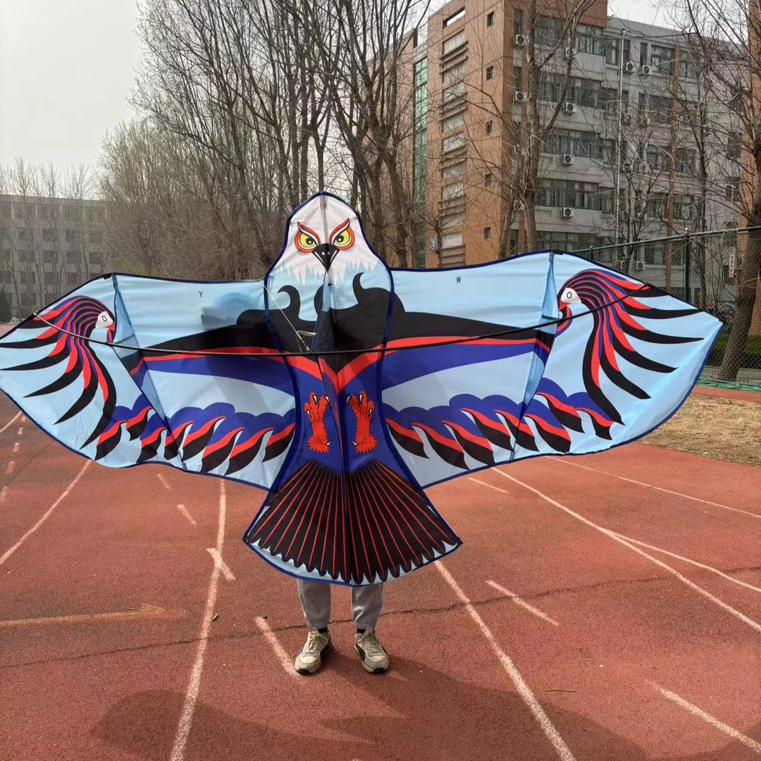 潍坊新款高品质蓝天雄鹰好飞好放成人