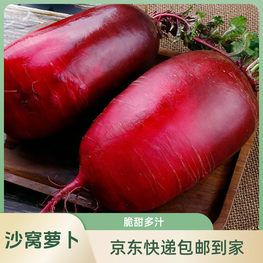 【正宗沙窝凤梨萝卜】棚里现拔现装箱新鲜发货