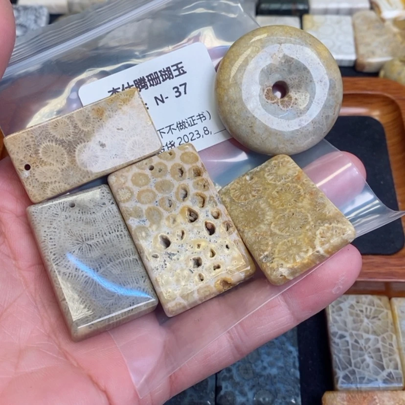 【闪购商品】硅化珊瑚（珊瑚玉）颈饰未镶嵌陵**沫