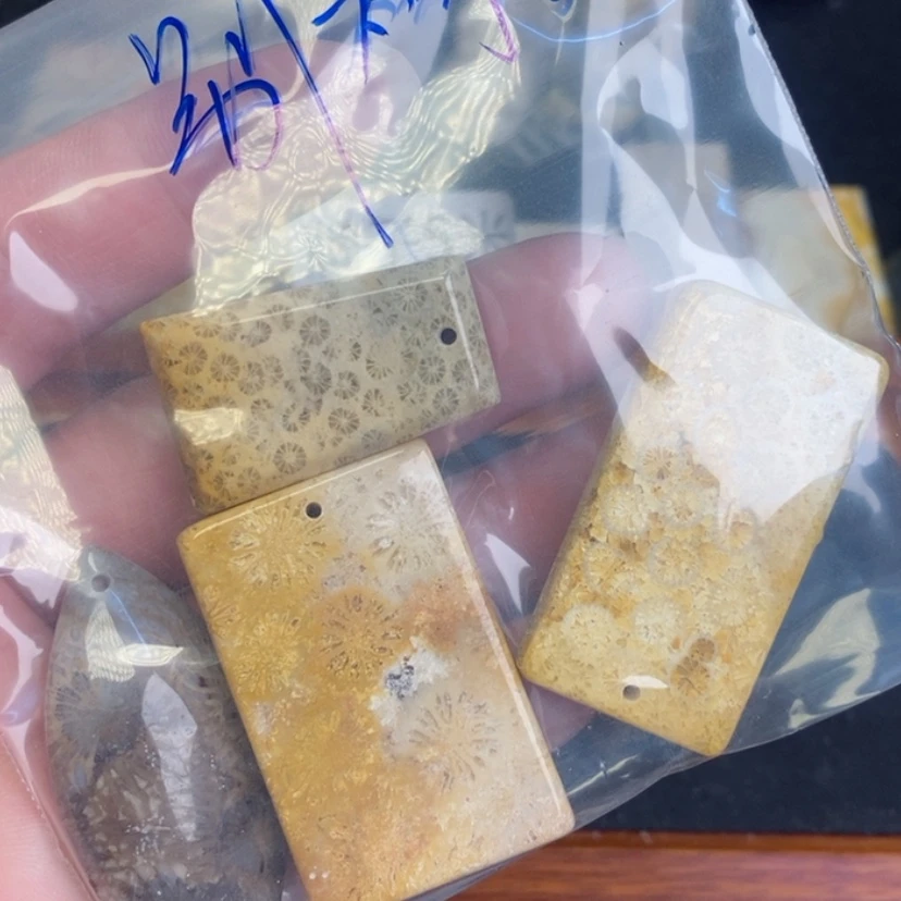 【闪购商品】硅化珊瑚（珊瑚玉）颈饰未镶嵌别*聒