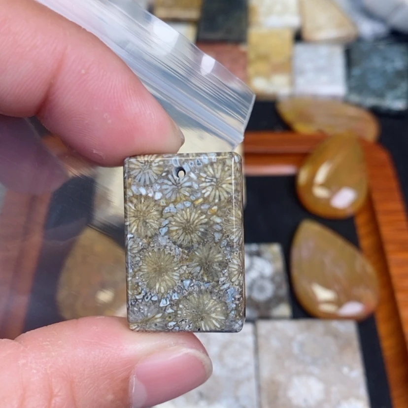 【闪购商品】硅化珊瑚（珊瑚玉）颈饰未镶嵌用****9