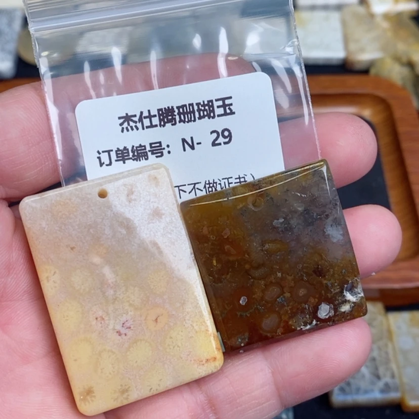 【闪购商品】硅化珊瑚（珊瑚玉）颈饰未镶嵌陵**沫