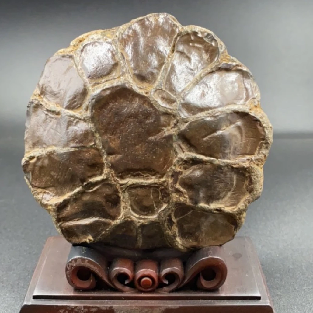 精品龟纹石桌面摆件，居家摆件 天然水冲石