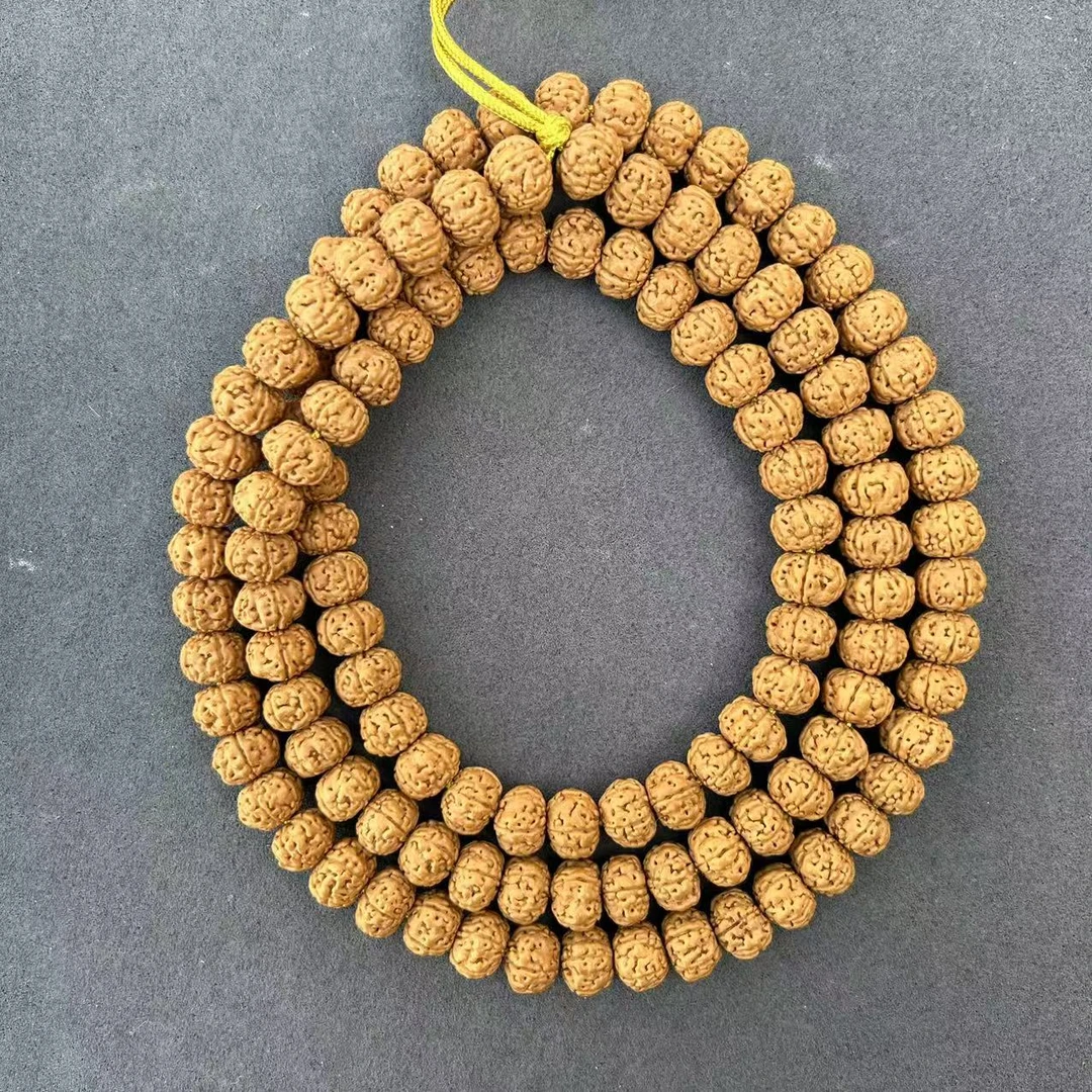 【与我一起】小金刚红皮树王108