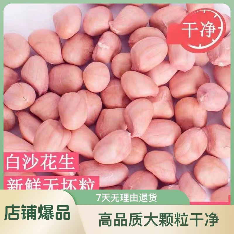 2024年农家自种小白沙花生米精选好吃高品质花生