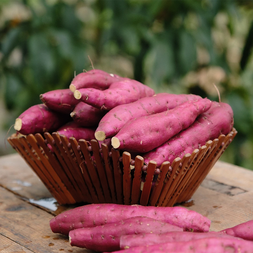 【金手指】正宗临安天目山小香薯新鲜现挖软糯香甜辅食粗粮2斤装