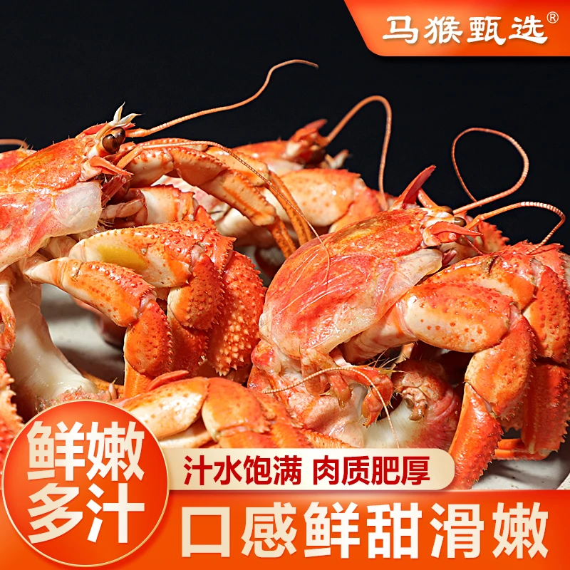 新鲜虾怪海怪寄居蟹深海螃蟹怪威海海捕特产 顺丰带壳发货 鲜活