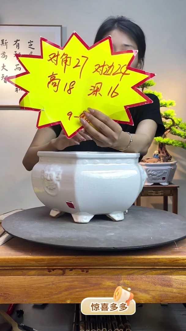 【闪购商品】陶瓷20CM（含）-50CM（不含）926白色