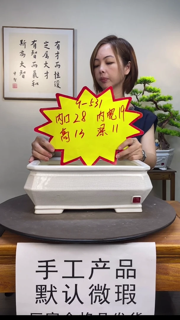 【闪购商品】531-白