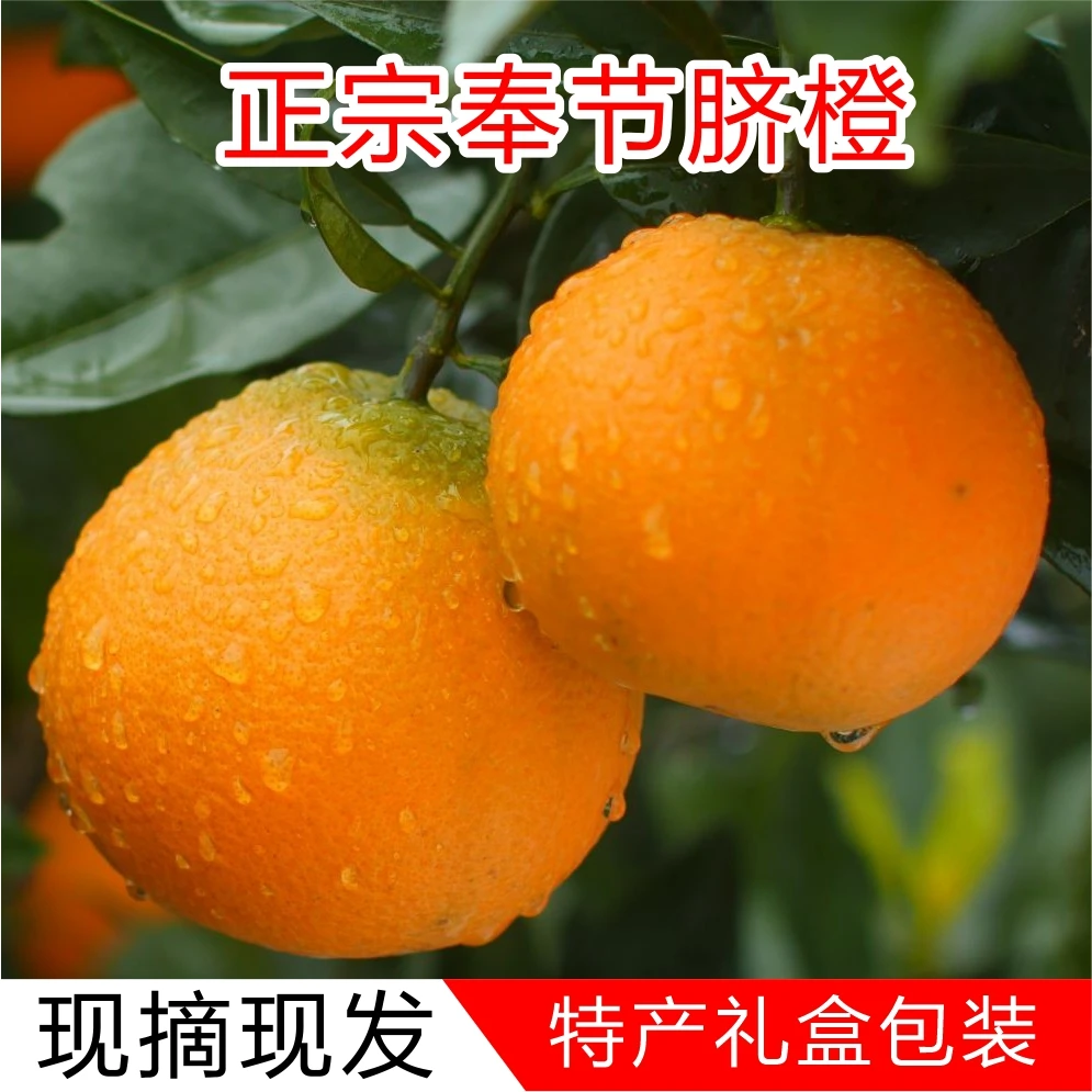 【仙女专属】奉节脐橙正宗皮薄肉厚果园直发新鲜多汁带叶爆汁橙子