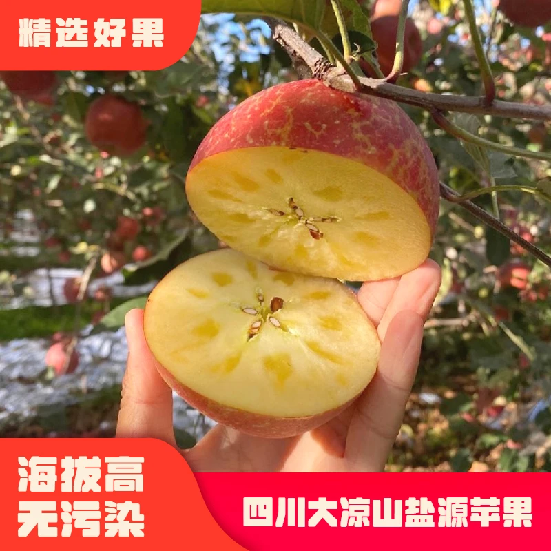 四川大凉山丑苹果现摘糖心脆甜苹果产地直发包邮精品礼盒装绿色