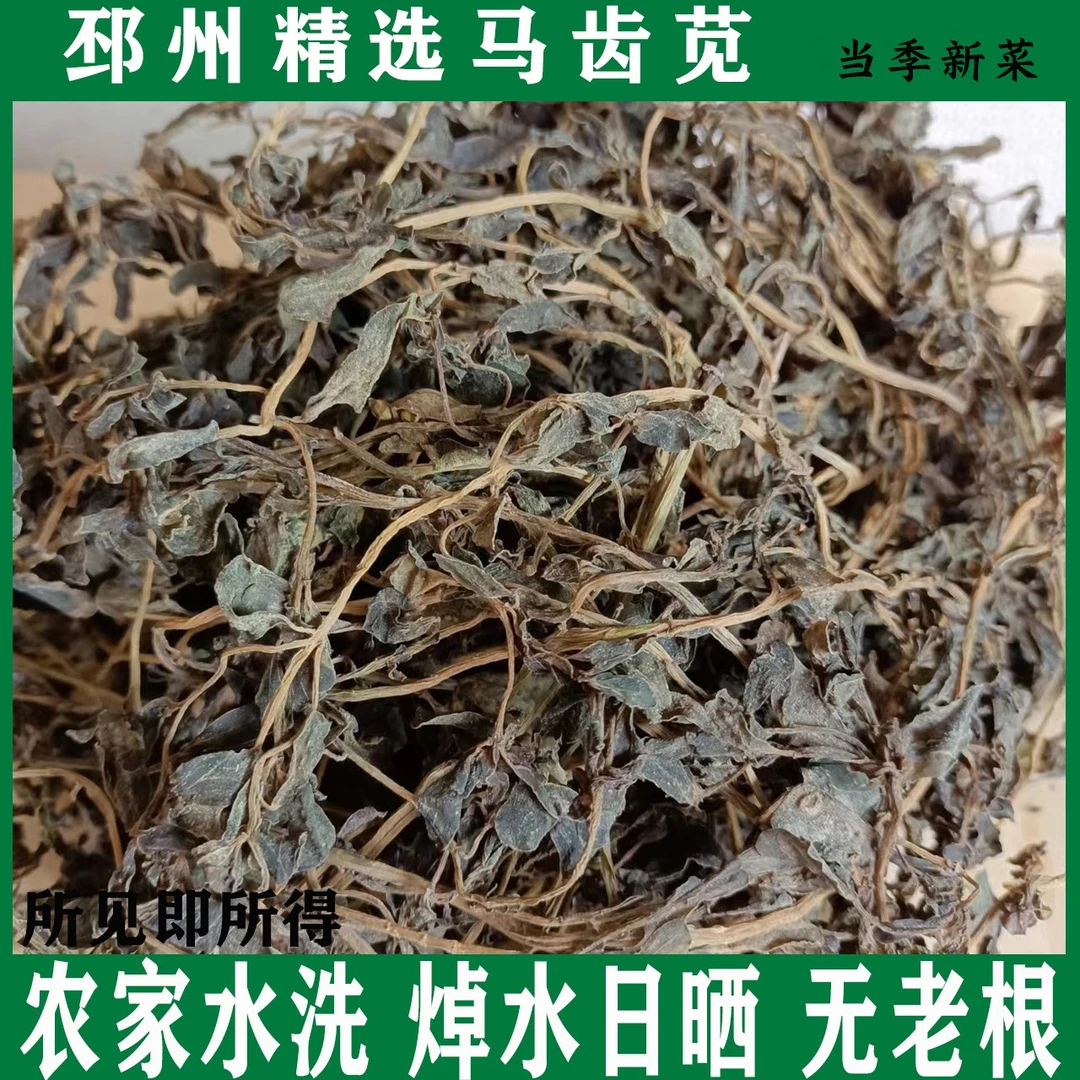 当季新晒优质马齿苋菜干马齿菜干蚂蚱菜蚂仔菜马蜂菜马齿苋菜干