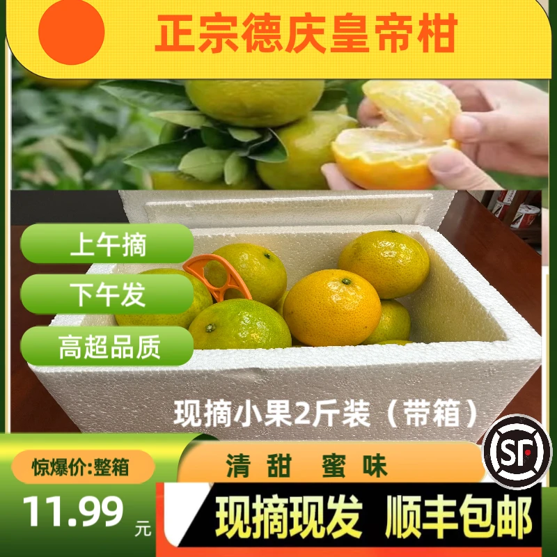 正宗德庆皇帝柑现摘现发,小果(直径54mm以下)2斤带箱皮薄肉厚汁多