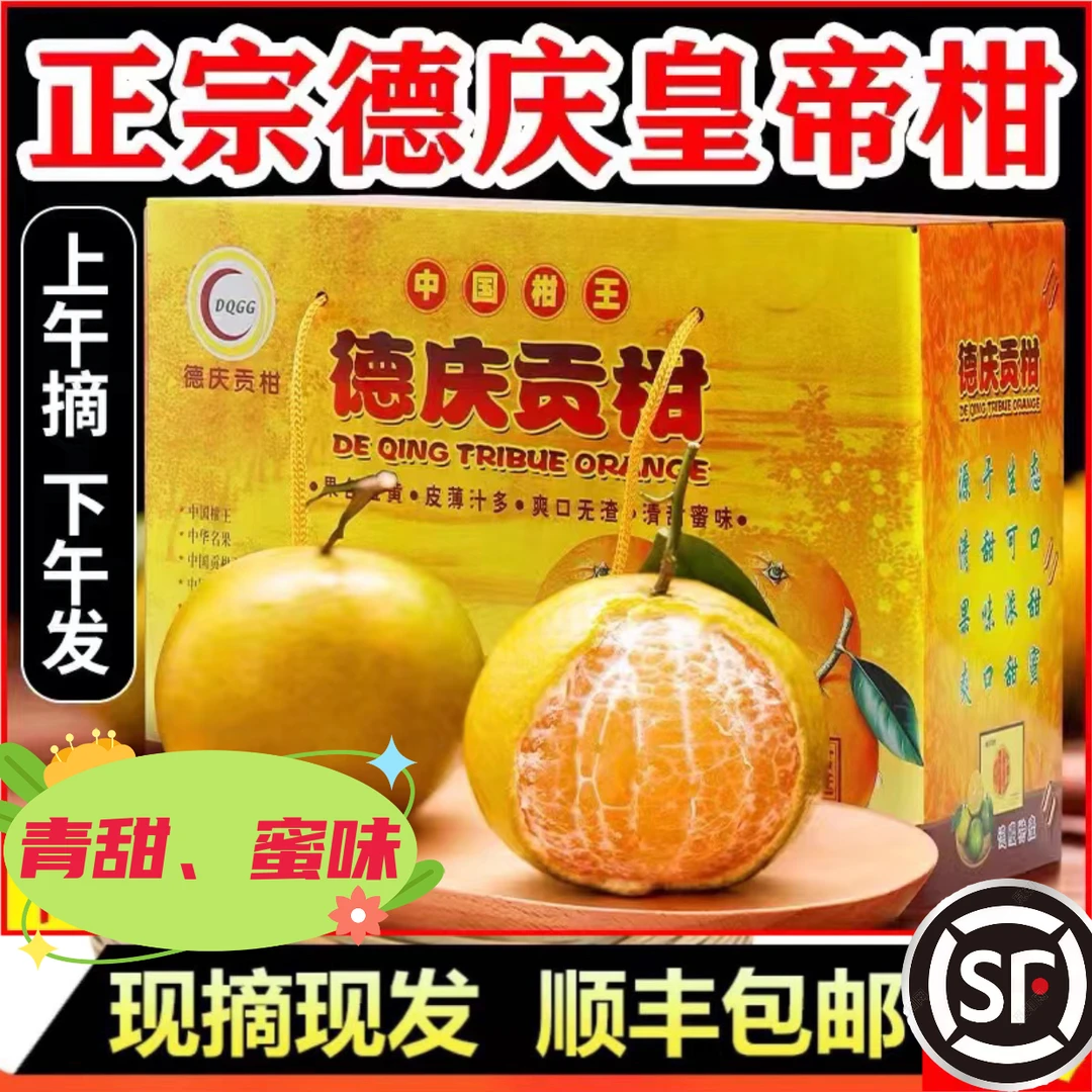 正宗德庆皇帝柑原产地新鲜采60-64mm大果5斤礼盒装皮薄肉