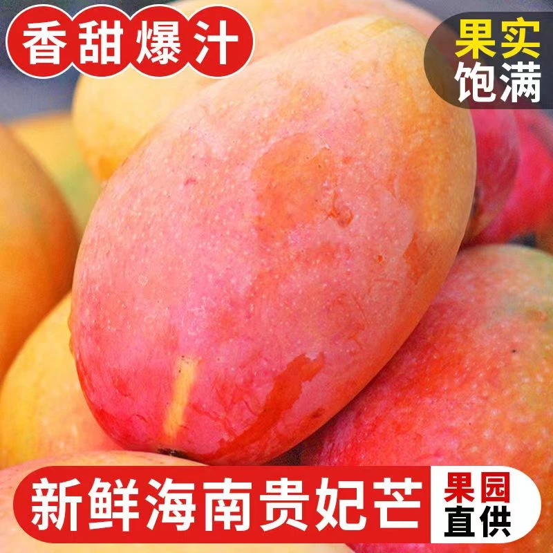 广西贵妃芒3/5/8斤装 新鲜热带水果贵妃芒果红金龙成熟香甜多汁