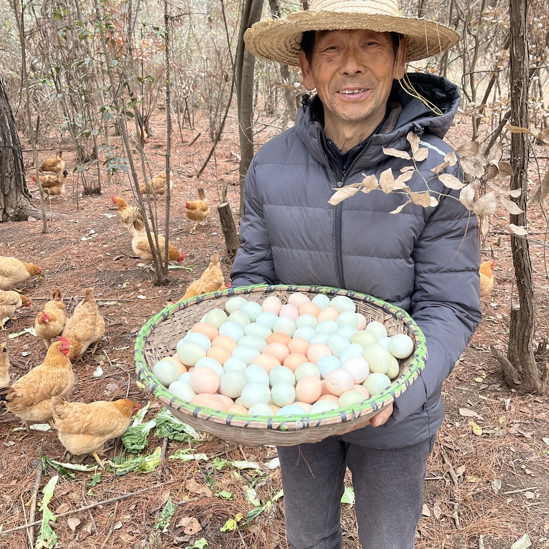 60大个果山松林土鸡蛋（生态蛋）农家 当日 新鲜