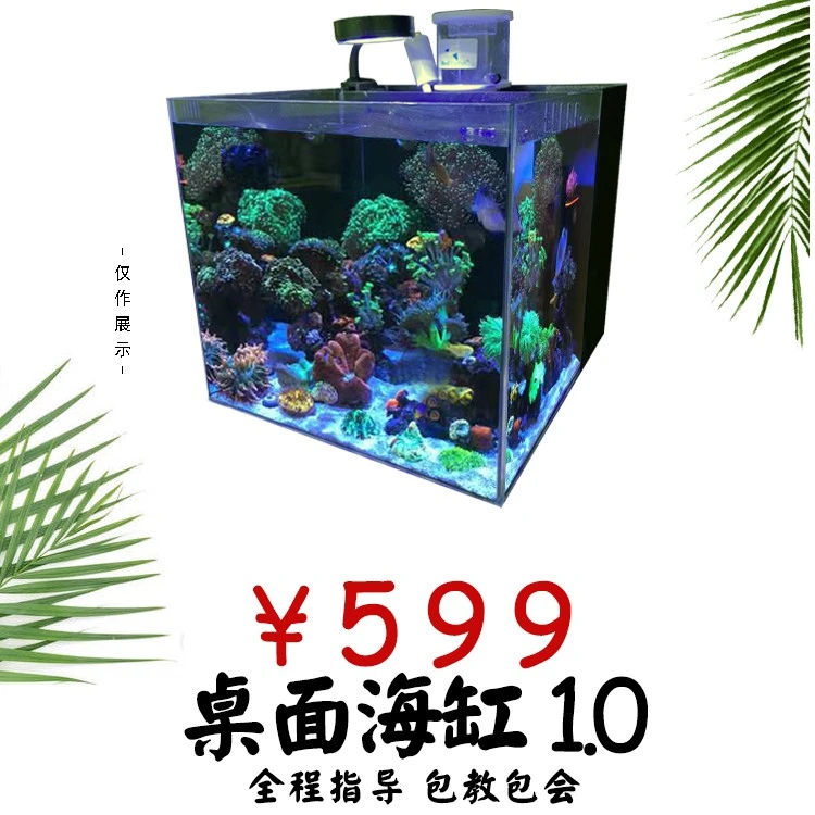 黑鳔海水缸套餐30方背滤超白海水鱼缸新手入门蛋分滤材生物包邮