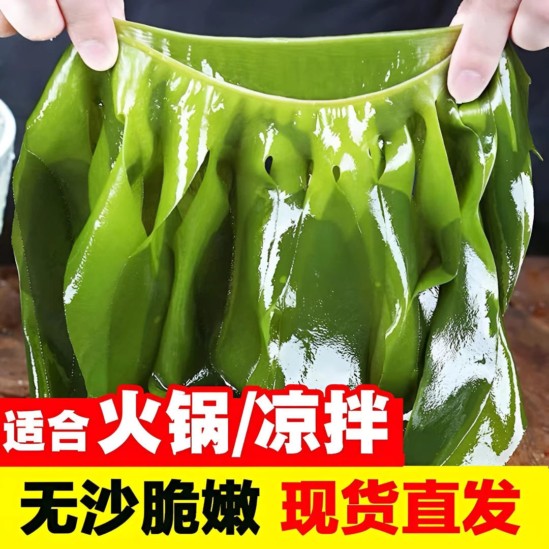 无虫眼盐渍裙带菜麻辣烫海藻海带鲜嫩凉拌火锅食材批发煮汤方便
