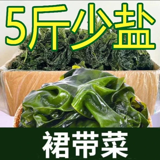 【保证无虫眼】5斤盐渍裙带菜海藻海带鲜嫩凉拌麻辣烫火锅食材批发